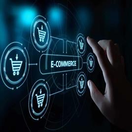 E-commerce Business Software