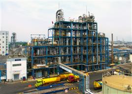 Edible Oil Refining Machine