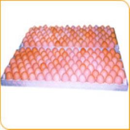 Egg Setting Tray