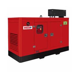 Eicher Air Cooled Generator