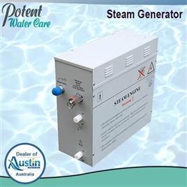 4 kW Automatic Single Phase Steam Generator