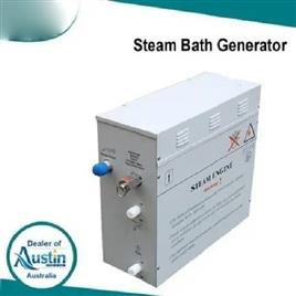 6 kW Electric Steam Unit