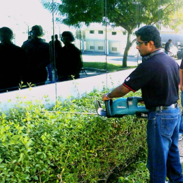 500 Watt Petrol Hedge Device