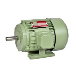 Standard Electric Motor