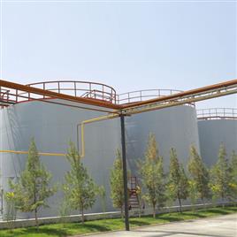 Electric Oil Processing Machine