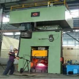 Electric Screw Press Machine