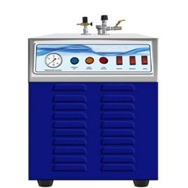Electric Steam Production Device