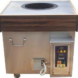 Standard Electric Tandoor