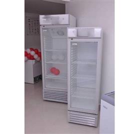 Commercial Upright Freezer
