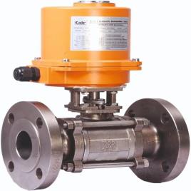 Electric Actuated Control Valves