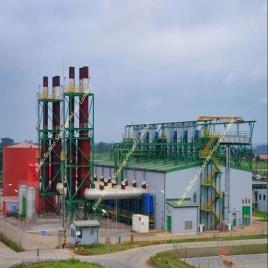 Electrical Captive Power Machine, 10 MW-1000 MW Capacity