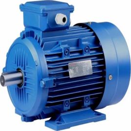 General Purpose Electric Motor