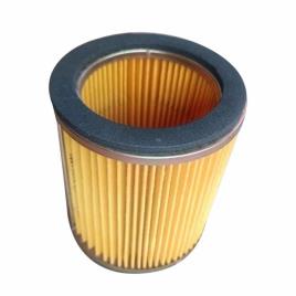 ELGi EAS 75-110 Air Compressor Filter