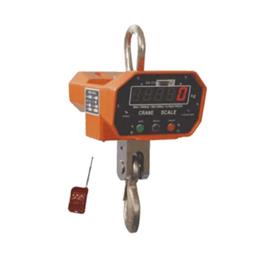 Essae Industrial Hanging Scale DS 315