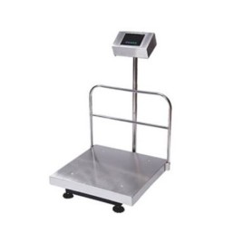 Essae Mild Steel DS-215SS Weighing Platform