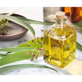 Eucalyptus Oil