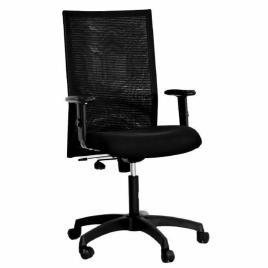 Executive Mesh Back Ergonomic Chair