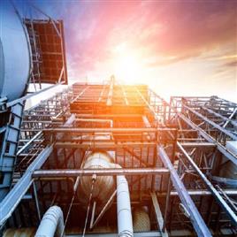 Fatty Acid Production Plants