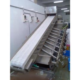 Conveyor Machine for Fish Grading