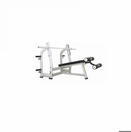 Fitness Silver Decline Bench, Youth Gym