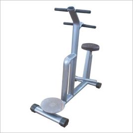 Fitness Twist Machine