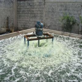 Fixed Surface Aerator, Aquaculture, 0.25 (kgO2/h)