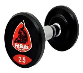 FIT BULLS Rubber Coated Dumbbell