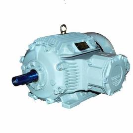 Flame Proof Motor Equipment