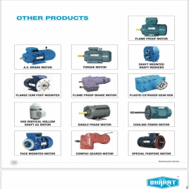 Flameproof Electric Motor