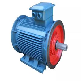 Standard Flange Motor