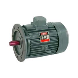 Induction Motor with Flange Mount