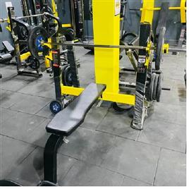 Flat Exercise Bench Press