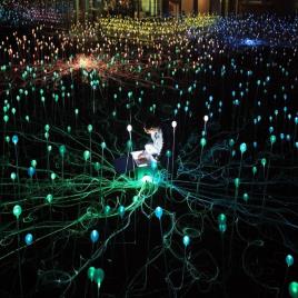 Fluorescent Fiber Optic Light for Indoor