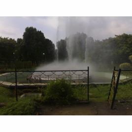 Electric Motor Fogging Machine