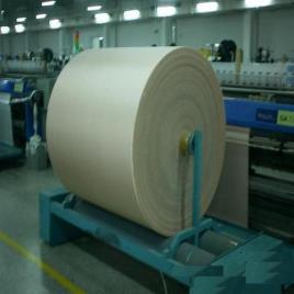 Automatic Food Grade PVC Belt