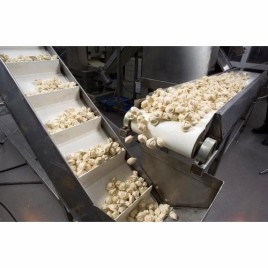 Food Grade PVC Conveyor Belt - 500mm Width, 10mm Thickness