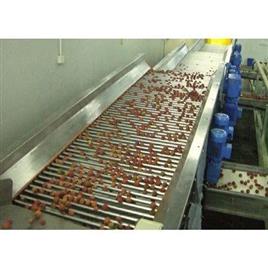 Food Processing Grading Machine