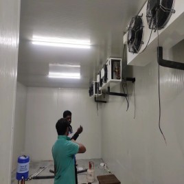 Foods Prefabricated Cold Storage Room