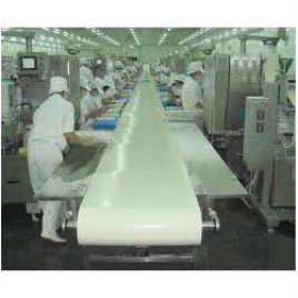 Foodstuff Industrial Conveyor Belt