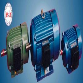Industrial Three Phase Induction Motor, Foot Mounted