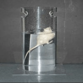 Forced Swimming Test Machine