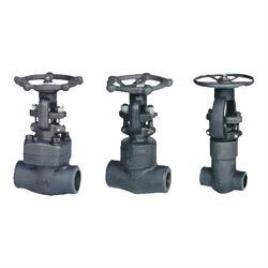 Forged Steel Gate Valve Equipment