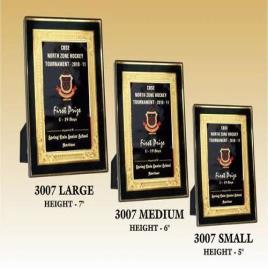 Picture Frame and Hanging Assembly