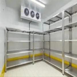 Industrial Freezer Chamber