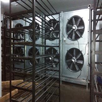 Freezer Storage Chamber