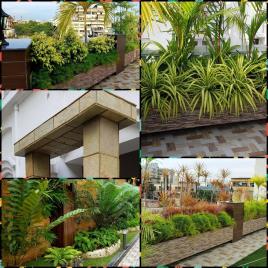 Outdoor Landscape Design Service