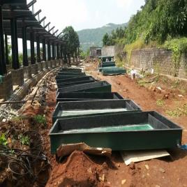 FRP Garden Planters (Custom Sizes)