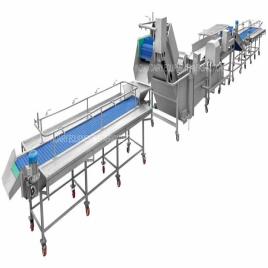 Industrial Fruit and Vegetable Processing Line