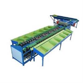 SS304 Fruit Sorting Machine