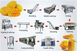 Industrial Fruit Processing Equipment